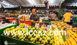 国产精品香蕉在线,甜蜜滋味，健康之选