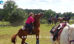 马交配高清视频,揭秘动物繁衍的神秘瞬间